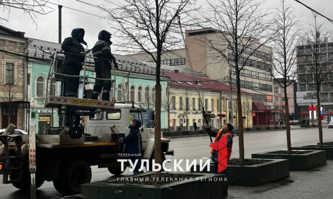 В Туле продолжают формировочную обрезку лип