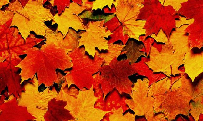 Как изменится жизнь туляков с 1 сентября