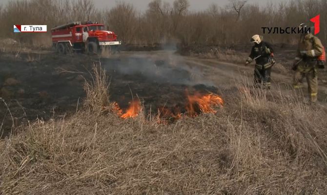 В Тульской области полыхает трава: какое наказание грозит поджигателям сухостоя 