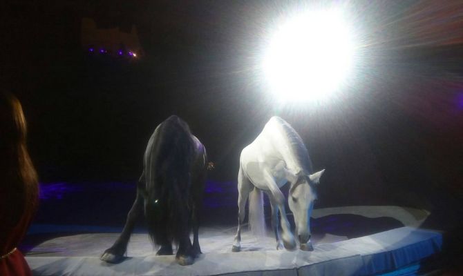 В тульском цирке для детей из сел прошло бесплатное представление