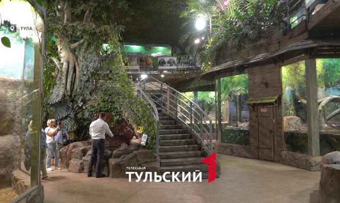 От детсада до террариума: как тульский экзотариум стал домом для редких рептилий 