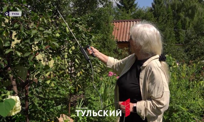 Как спасти урожай в капризное лето: лайфхак от тульской дачницы