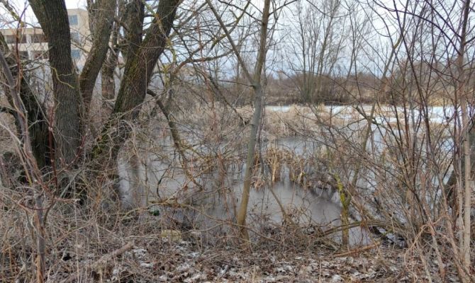 В Донском пруд очистили от канализационных стоков