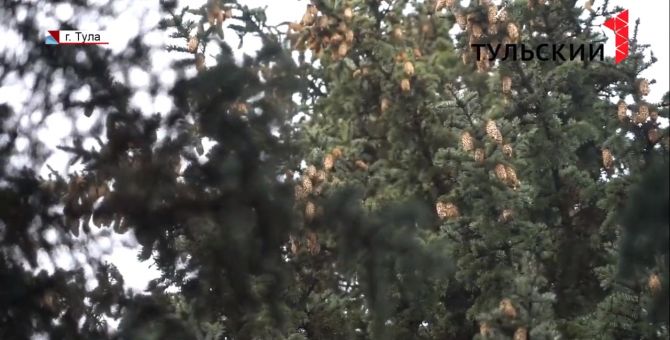  Тульские лесники вышли на тропу войны с браконьерами