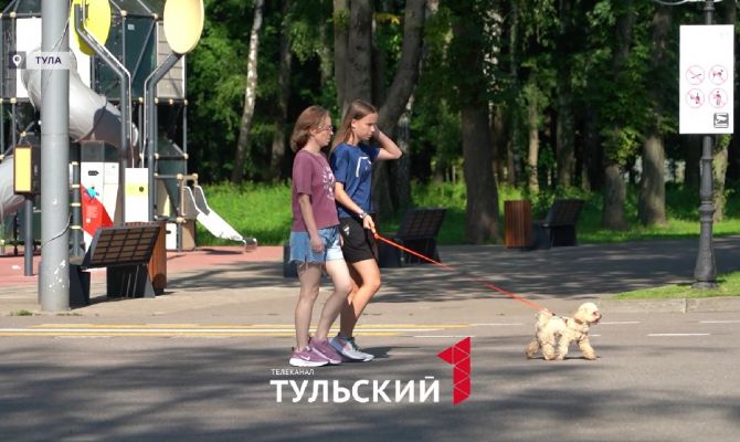 Собачников в Туле могут оштрафовать на 1,5 тысячи рублей