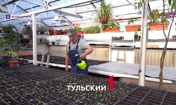 В Ясную Поляну привезли семена синего клевера из Болгарии