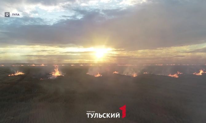 Леса в Тульской области от пожаров стал оберегать «Лесоохранитель» на основе ИИ