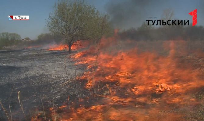 С 22 июля в Тульской области вводится особый противопожарный режим