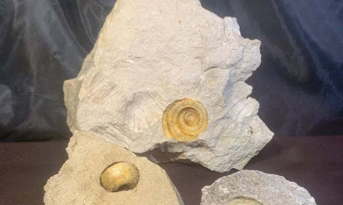 Тулякам расскажут, что было на месте их города тысячи лет назад