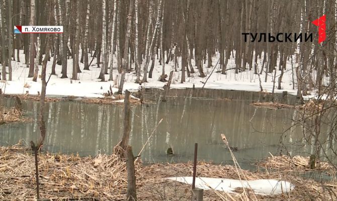 Когда отремонтируют очистные сооружения в тульском поселке Хомяково