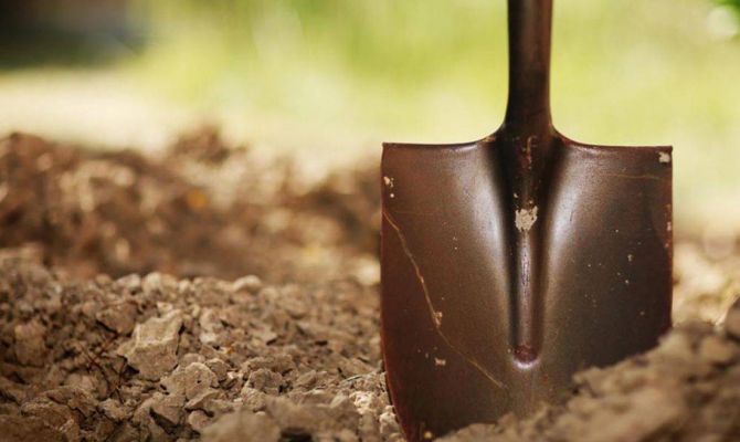 Пьяный житель Ясногорска штыковой лопатой насмерть забил мигранта