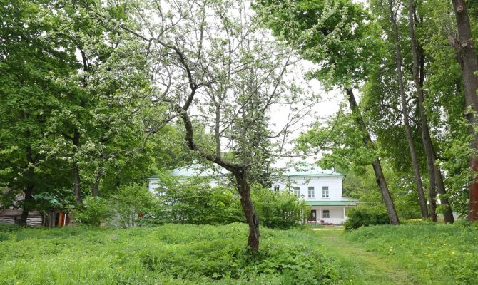 Найден прототип сада из романа "Война и мир" Льва Толстого