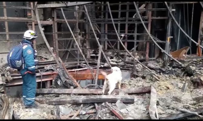 Минздрав Подмосковья опубликовал актуальный список пострадавших в теракте в "Крокус Сити Холле"