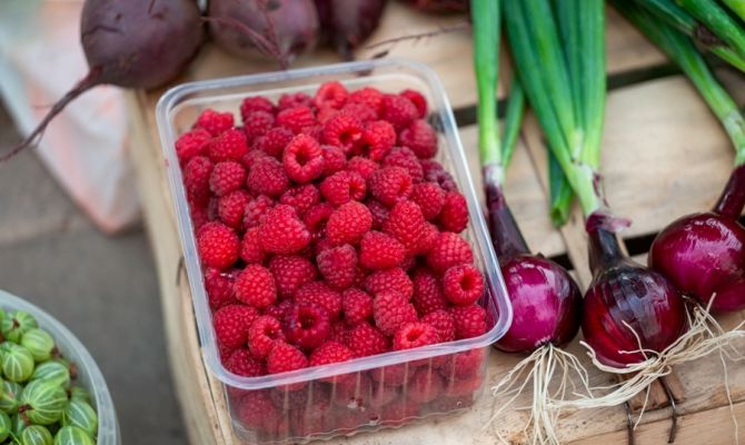 От роста урожая до хранения: фермеры из Тулы раскрыли все секреты малины