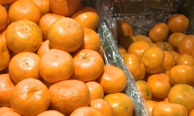 Сколько мандаринов и конфет можно давать детям: мнение педиатра