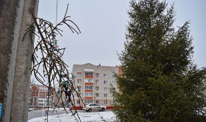 В Суворове вандалы сломали новогоднюю елку