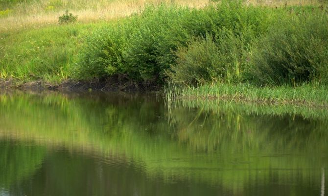Спасатели назвали ТОП причин гибели людей на воде