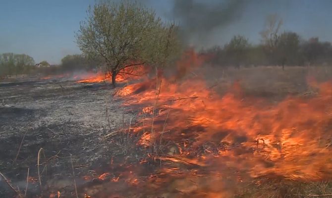 Тульских поджигателей полей начали ловить с помощью беспилотников