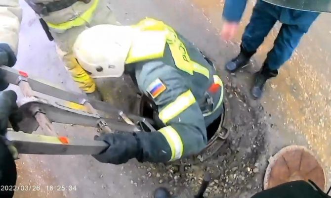 В Донском пожарные спасли щенка из канализационного колодца