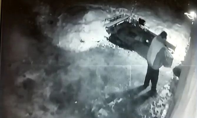 К приюту "Любимец" в Туле подкинули щенка в коробке