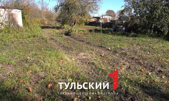 Под Щекино по садам и огородам проехал трактор: от плодовых деревьев остались только ветки