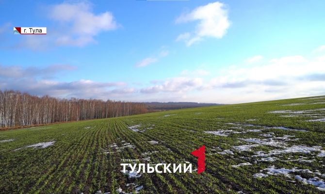 Начало января в Тульской области побило погодные рекорды: чем грозит аномальная оттепель