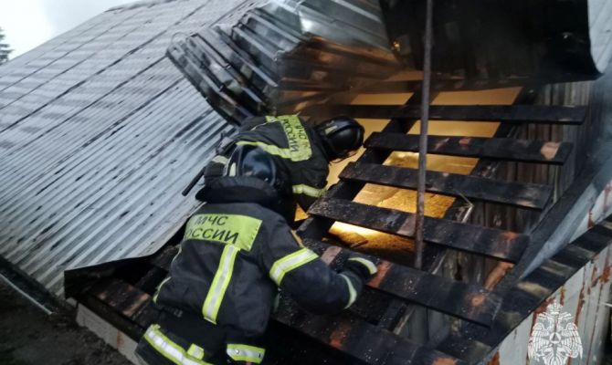 Сколько пожаров потушили в Тульской области за 5 июня
