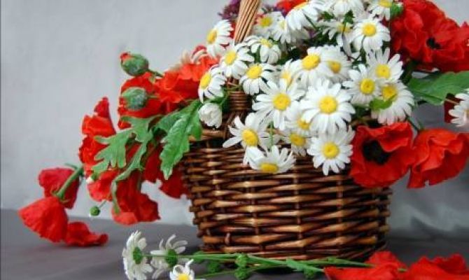 Уникальная выставка тульского скульптора открылась в Сочи