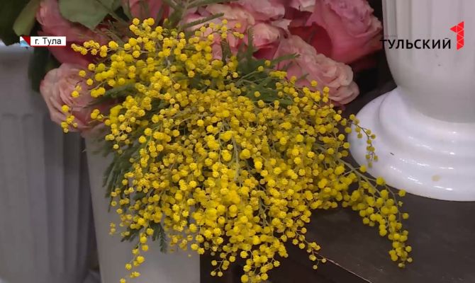В тульских магазинах раньше срока появилась мимоза