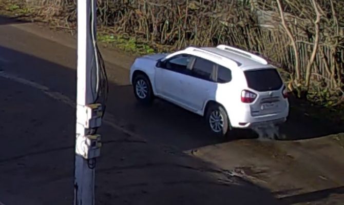 В Узловой водитель кроссовера намеренно сбил собаку