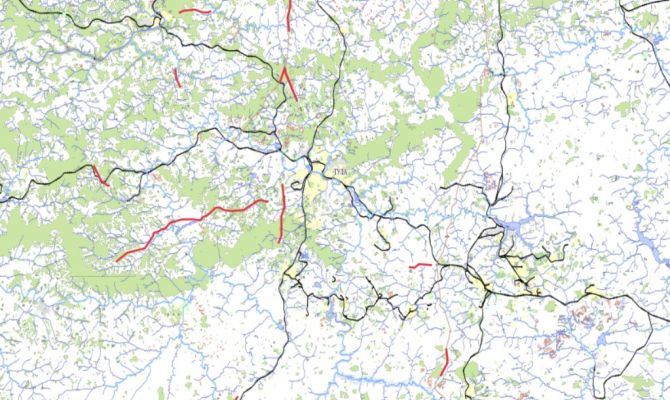 В Тульской области составили карту выхода диких животных на дороги
