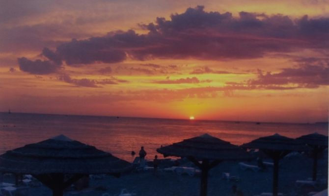 Как стать волонтером и поехать в Крым для уборки мазута: разъяснение