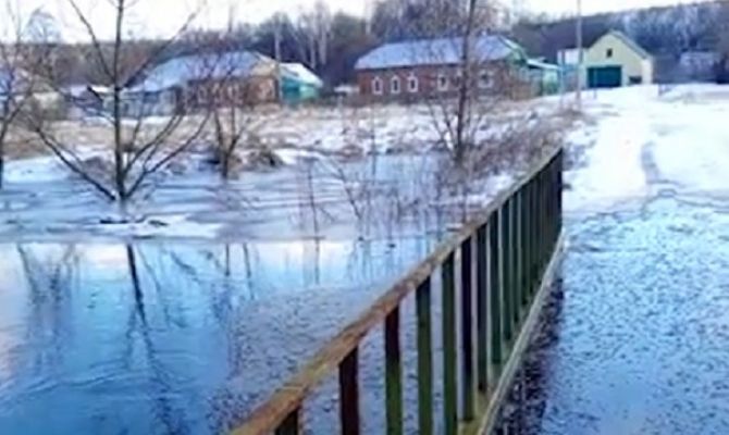 Житель Тульской области прогулялся по затопленному мосту: видео