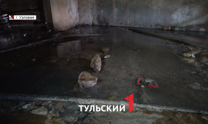 Подвалы многоэтажек в Узловой превратились в рассадник комаров