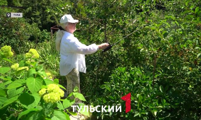 Опытный садовод назвала худшее сочетание растений на участке