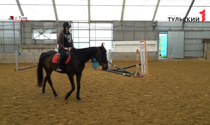 Как возвращаются к тренировкам конноспортивные клубы Тульской области