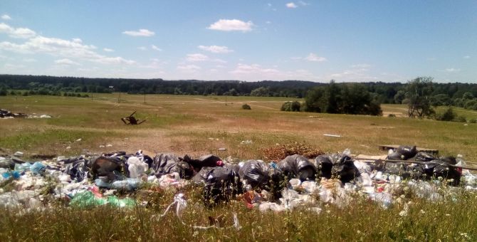 Алексинцы: "Дикая мята" уехала, мусор остался