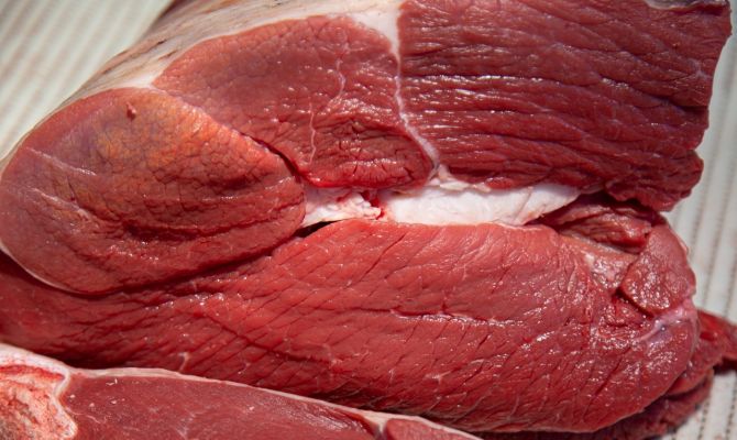 В Тульской области фирма-фантом ввела в оборот 900 тонн неизвестного мяса и молока