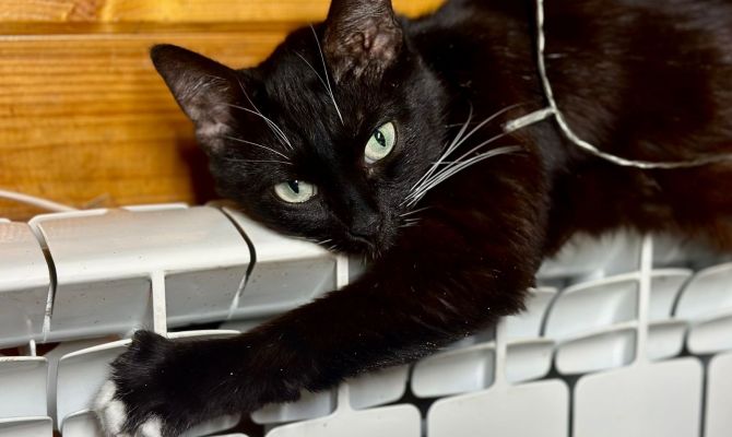 В России будут штрафовать коммунальщиков за неготовность к зиме