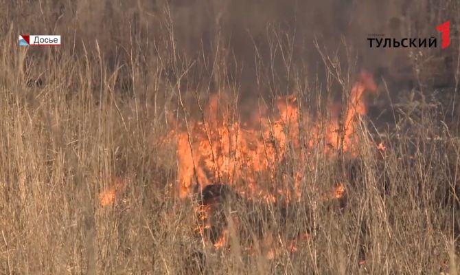 Патруль из космоса: как спасатели следят за пожарной обстановкой в Тульской области