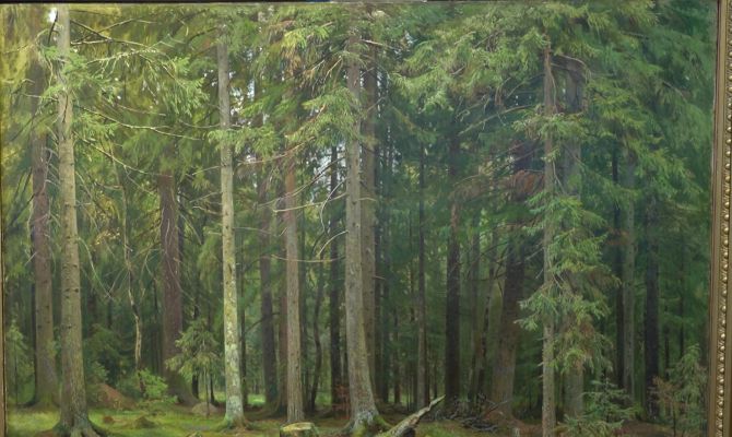 Какое место в Тульской области стало вдохновением для Ивана Шишкина