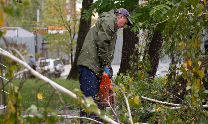 Тула "лысеющая": зачем на улицах города срубают деревья