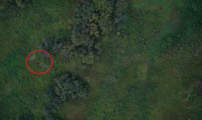 Туляк с помощью беспилотника нашел обессиленного пенсионера в поле