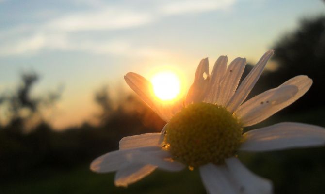 Синоптики рассказали, какая погода будет в июле