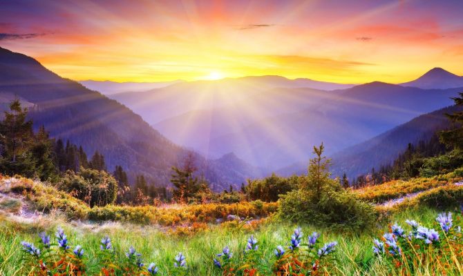 «Антология-43»: туляки увидят нарисованную красоту природы