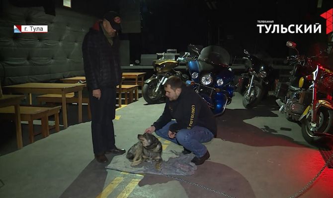 Тульские байкеры спасли из ледяного плена дворняжку: как пес чувствует себя сейчас