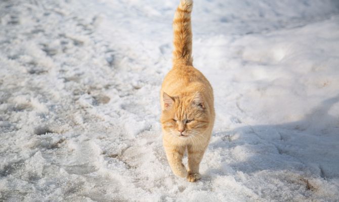 22 января в Туле начнется похолодание