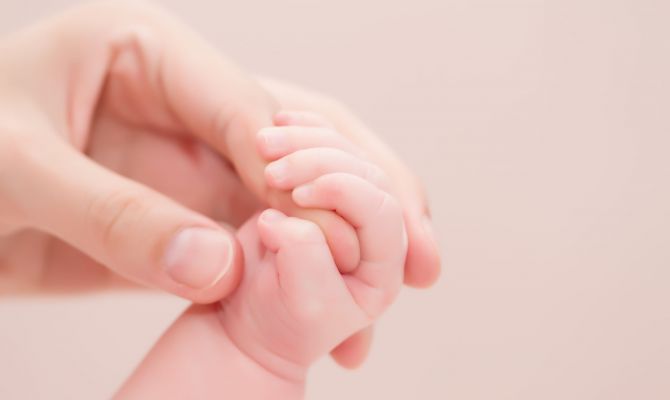 Какой механизм отвечает за проявление материнского инстинкта 