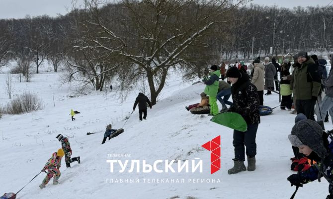 Туляки устроили стихийное катание на тюбингах в парке 