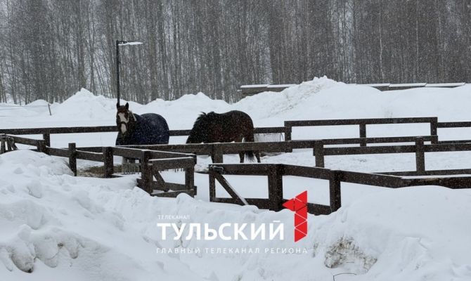 Фермер из Тулы рассказал, как будет выглядеть АПК будущего  